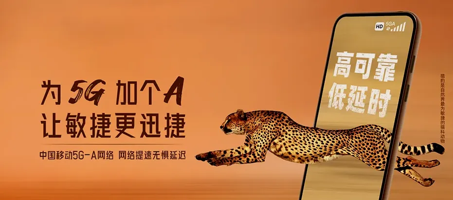舒城县舒城县舒城县经济开发区 移动宽带